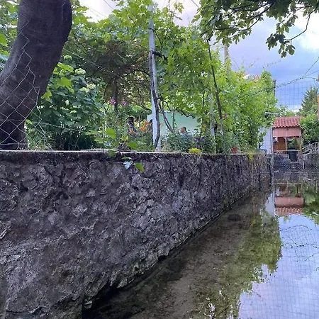 Bujtina Gjyshi Ilo Tushemisht