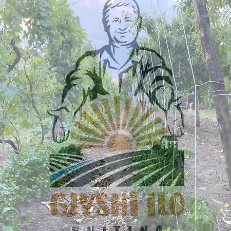 Bujtina Gjyshi Ilo 招待所 4*