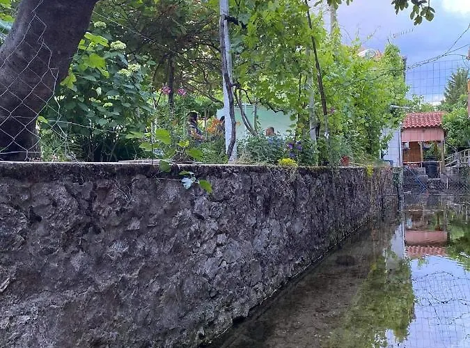 Bujtina Gjyshi Ilo Tushemisht