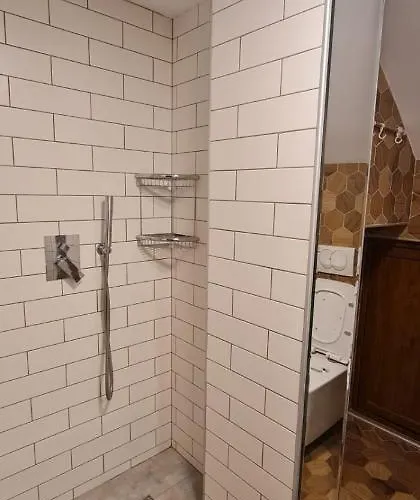 Bujtina Gjyshi Ilo Гостевой дом Tushemisht