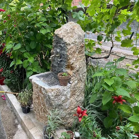 Bujtina Gjyshi Ilo Гостевой дом Tushemisht