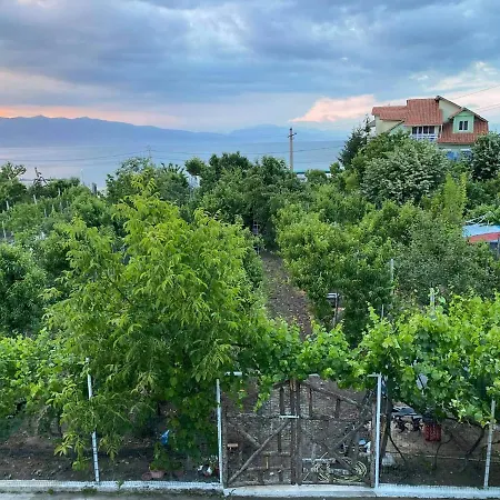 Bujtina Gjyshi Ilo *