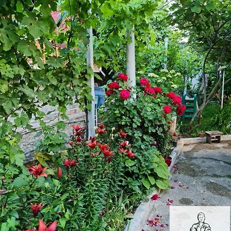 Bujtina Gjyshi Ilo Guest house Tushemisht