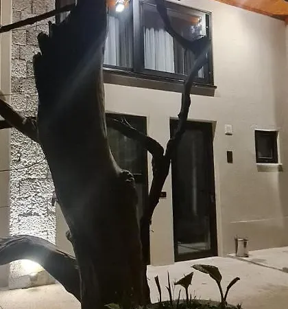 Guest house Bujtina Gjyshi Ilo *