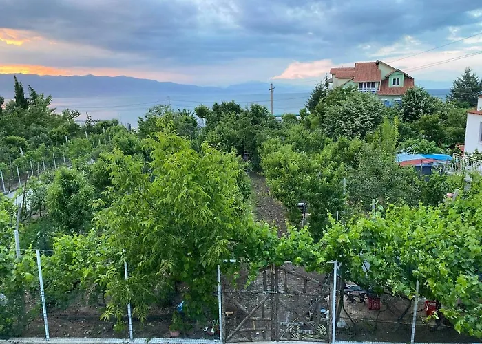 Bujtina Gjyshi Ilo 4*